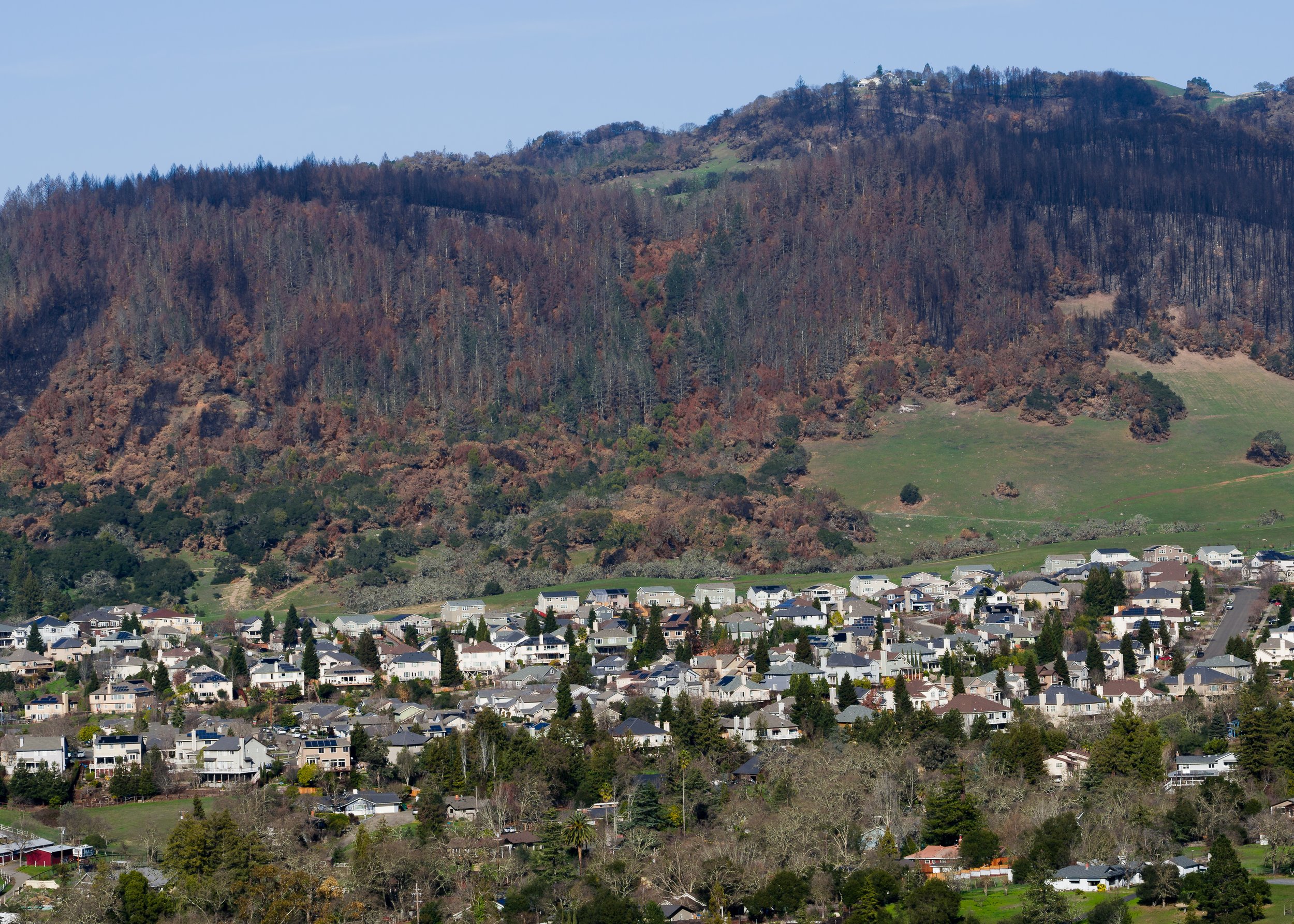 Hillside (Santa Rosa, CA)