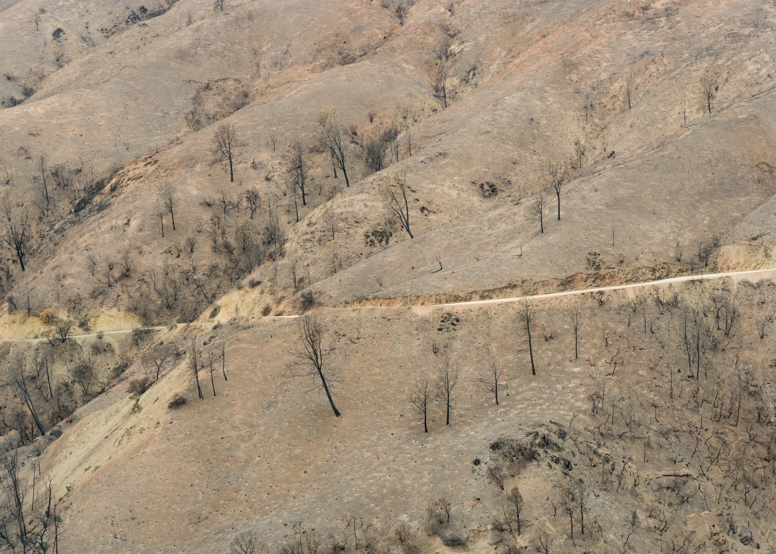 Fire Road 2 (Mendocino National Forest, CA)