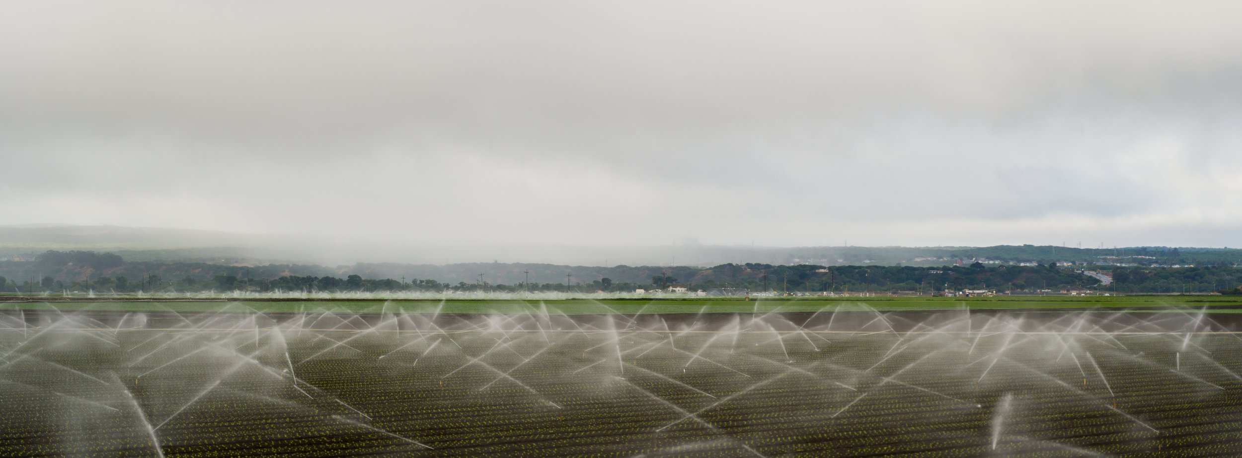 Irrigation (Castroville, CA)