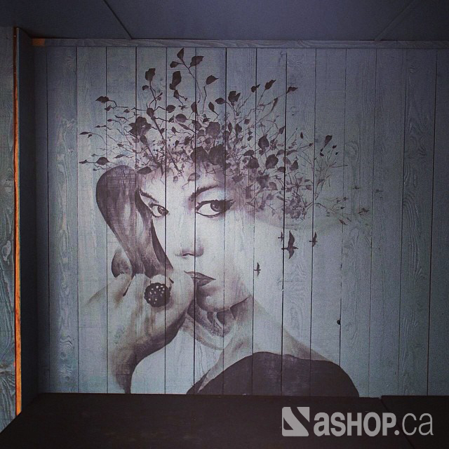 ashop-a'shop-mural-graffiti-street-art-loge3.jpg