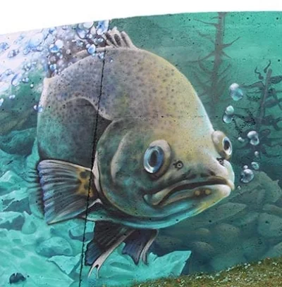 The biggest A'shop mural ever!