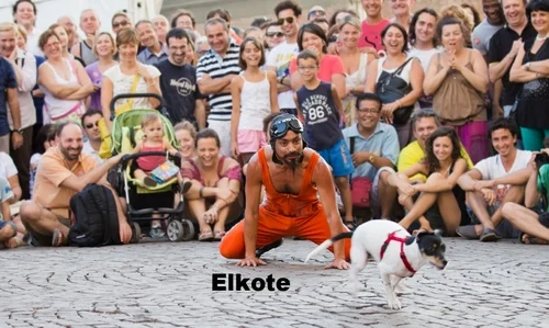 ELKOTE.jpg