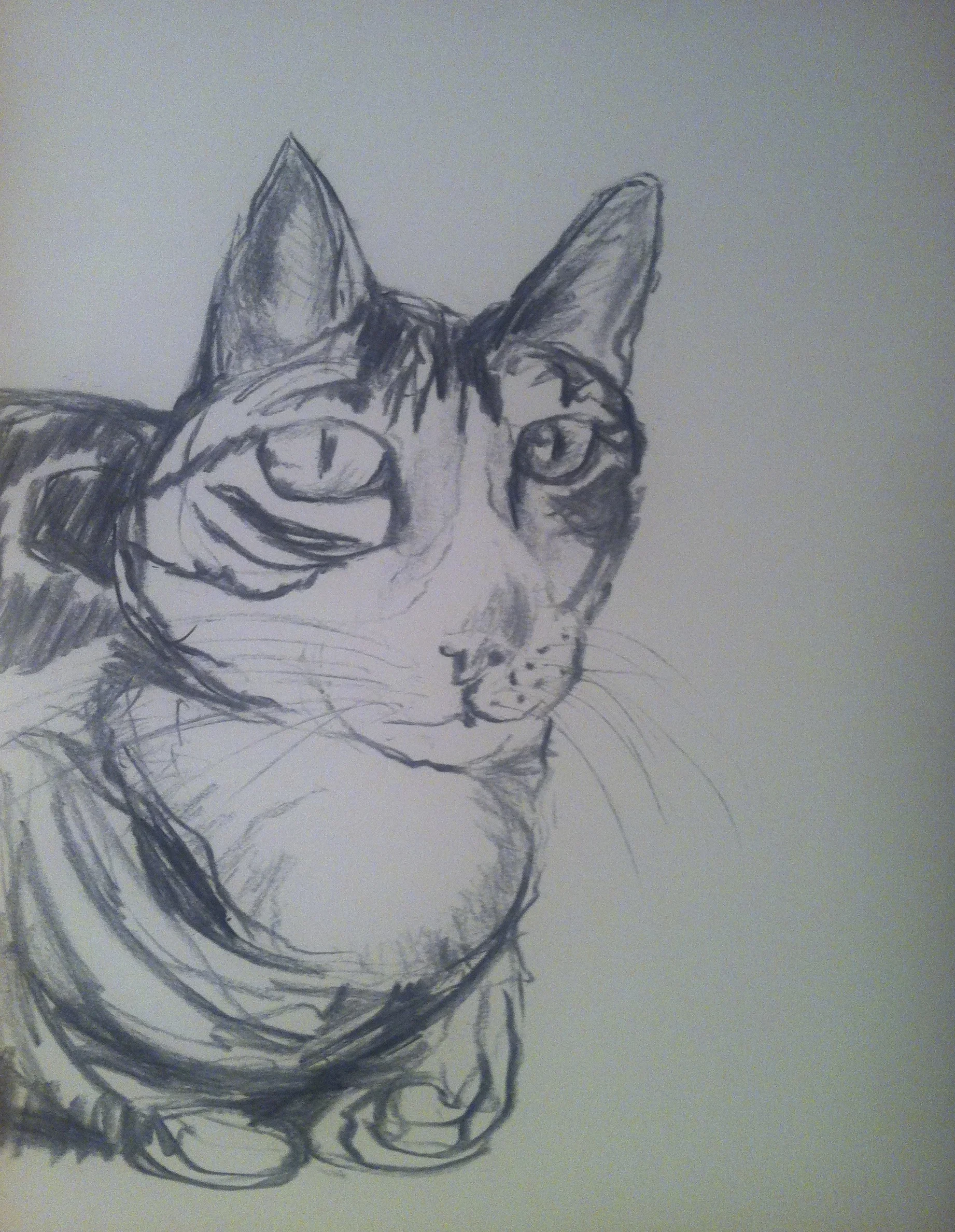 Abbie / Charcoal / 11x14"