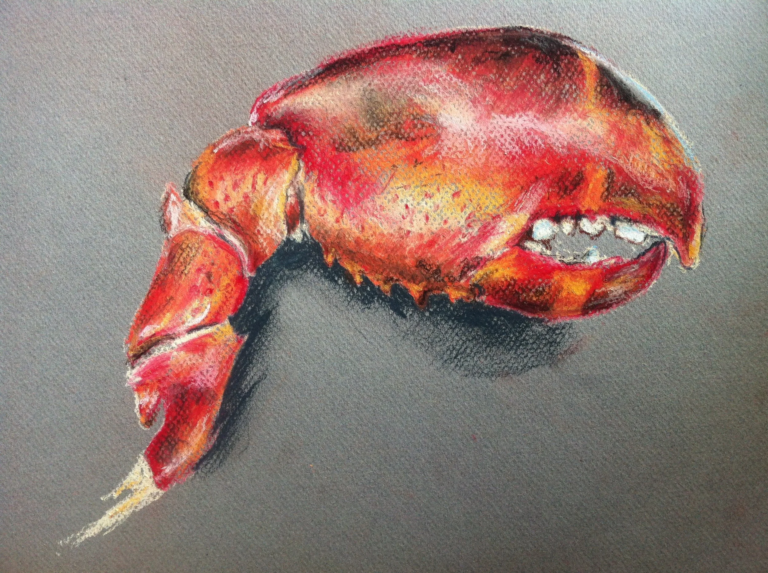 Too Hard to Crack / Pastel / 14.11"