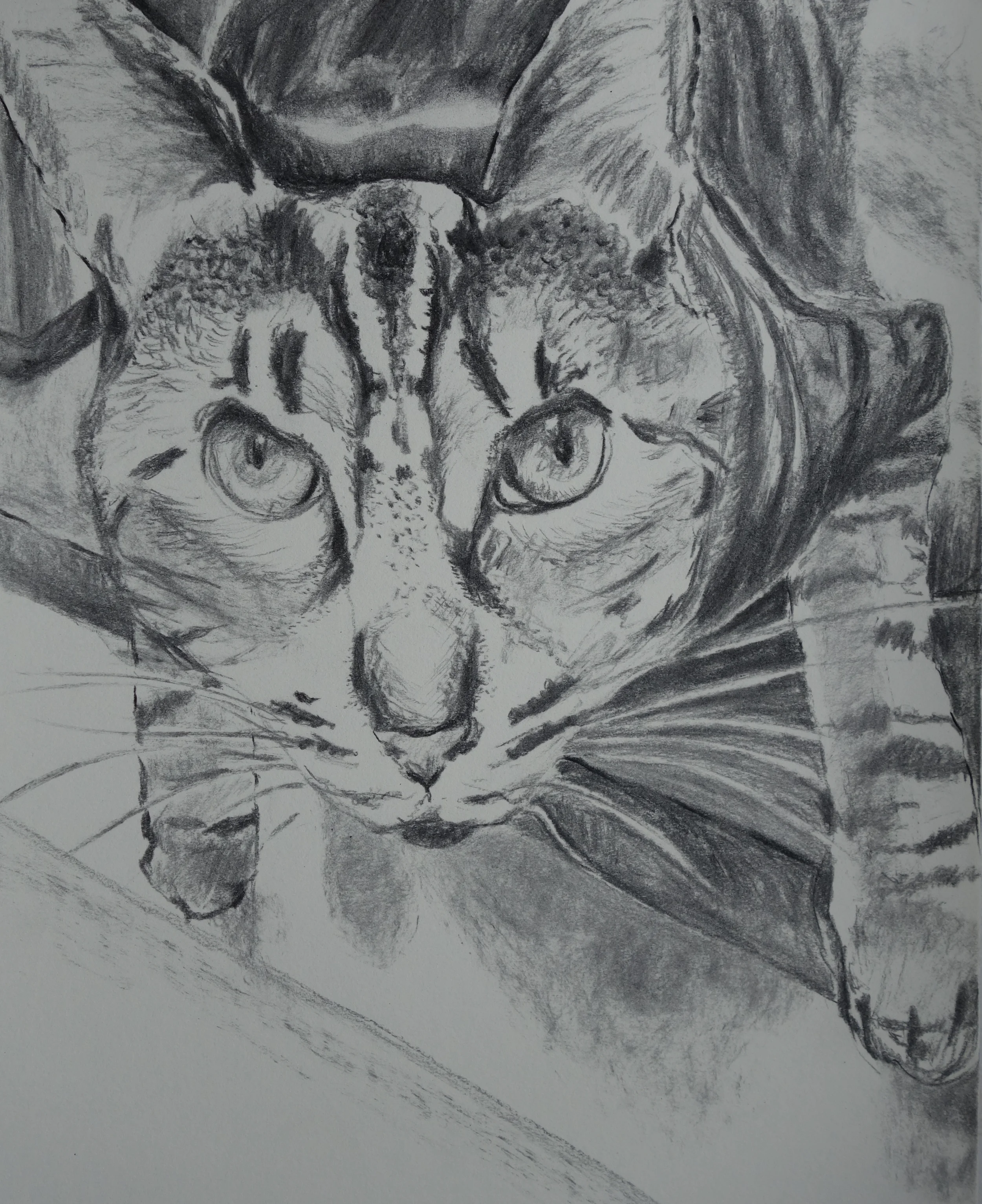 Huckleberry / Charcoal / 8x10