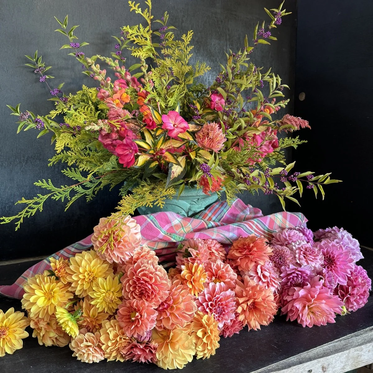 Grand Madras Dahlia Tuber Collection — GOLDENROD GARDENS