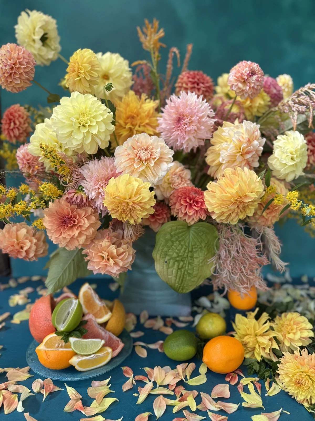 Citrus Squeeze Dahlia Tuber Collection.jpg