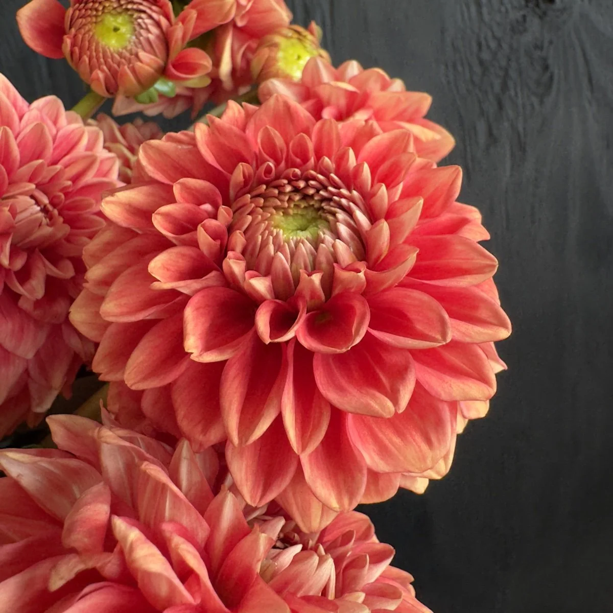Dahlia Lee’s Mandarin.jpg