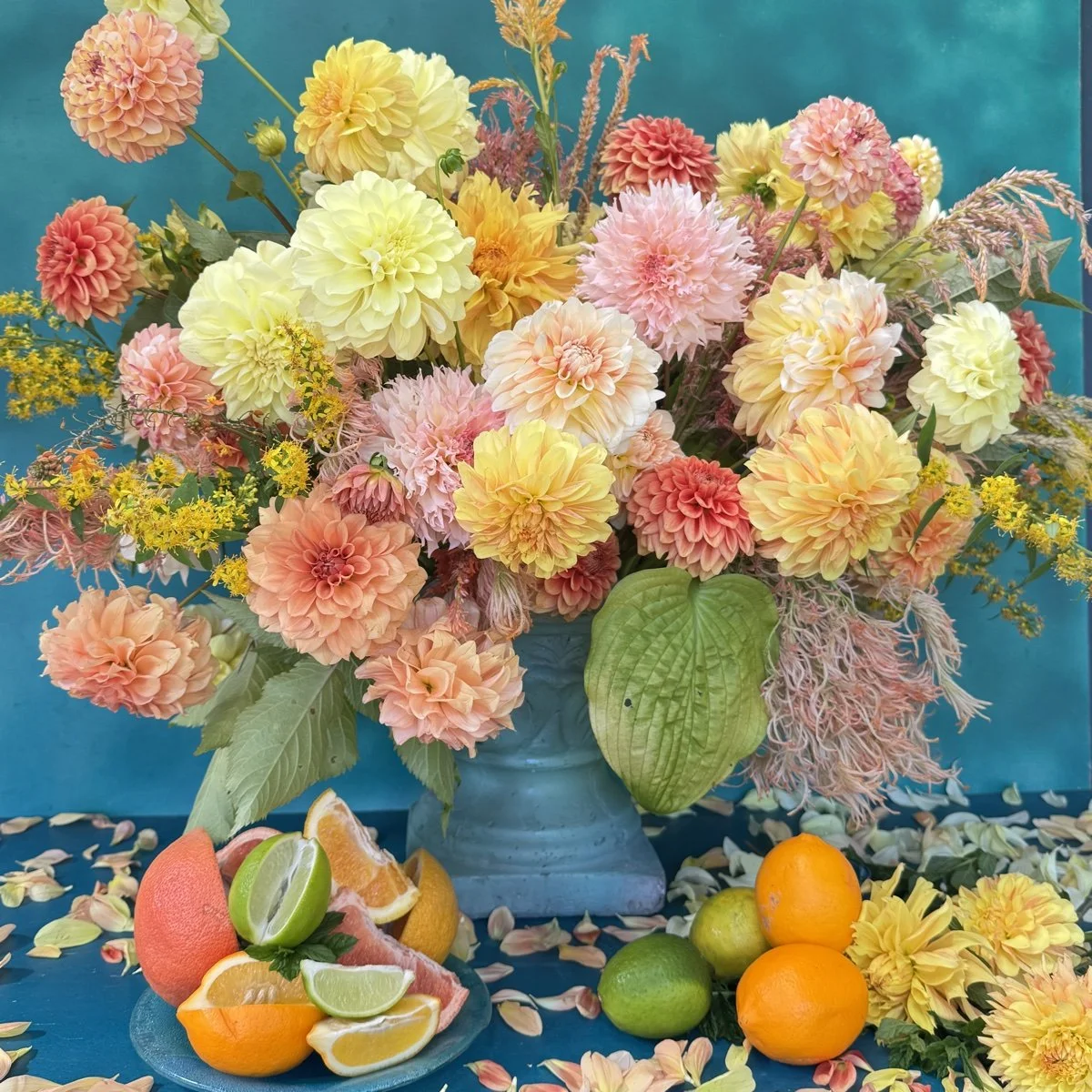 Citrus Squeeze Dahlia Tuber Collection.jpg