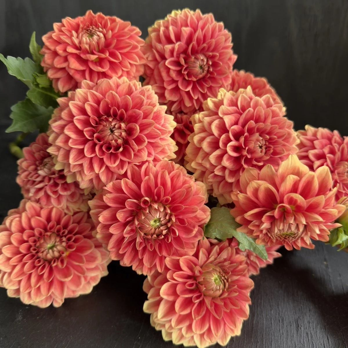 Dahlia Lee’s Mandarin.jpg