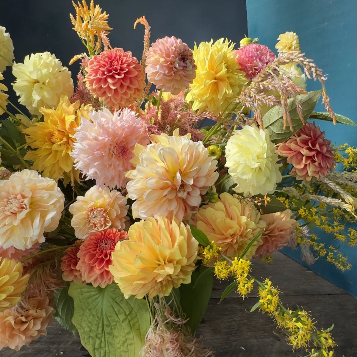 Citrus Squeeze Dahlia Tuber Collection.jpg