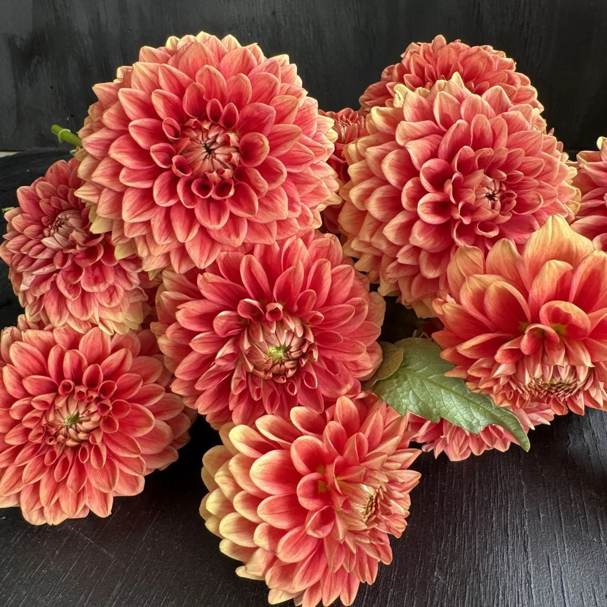 Dahlia Lee’s Mandarin.jpg