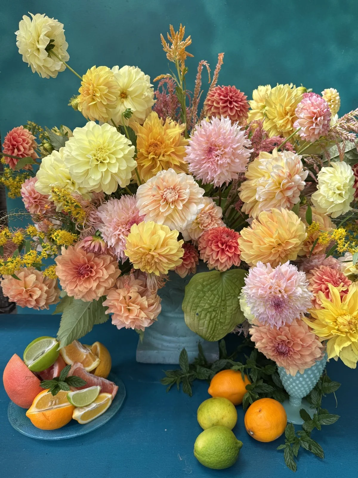 Citrus Squeeze Dahlia Tuber Collection.jpg