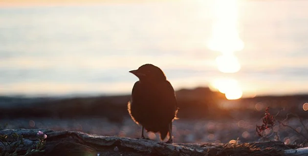 wordless prayer pastoral prayer