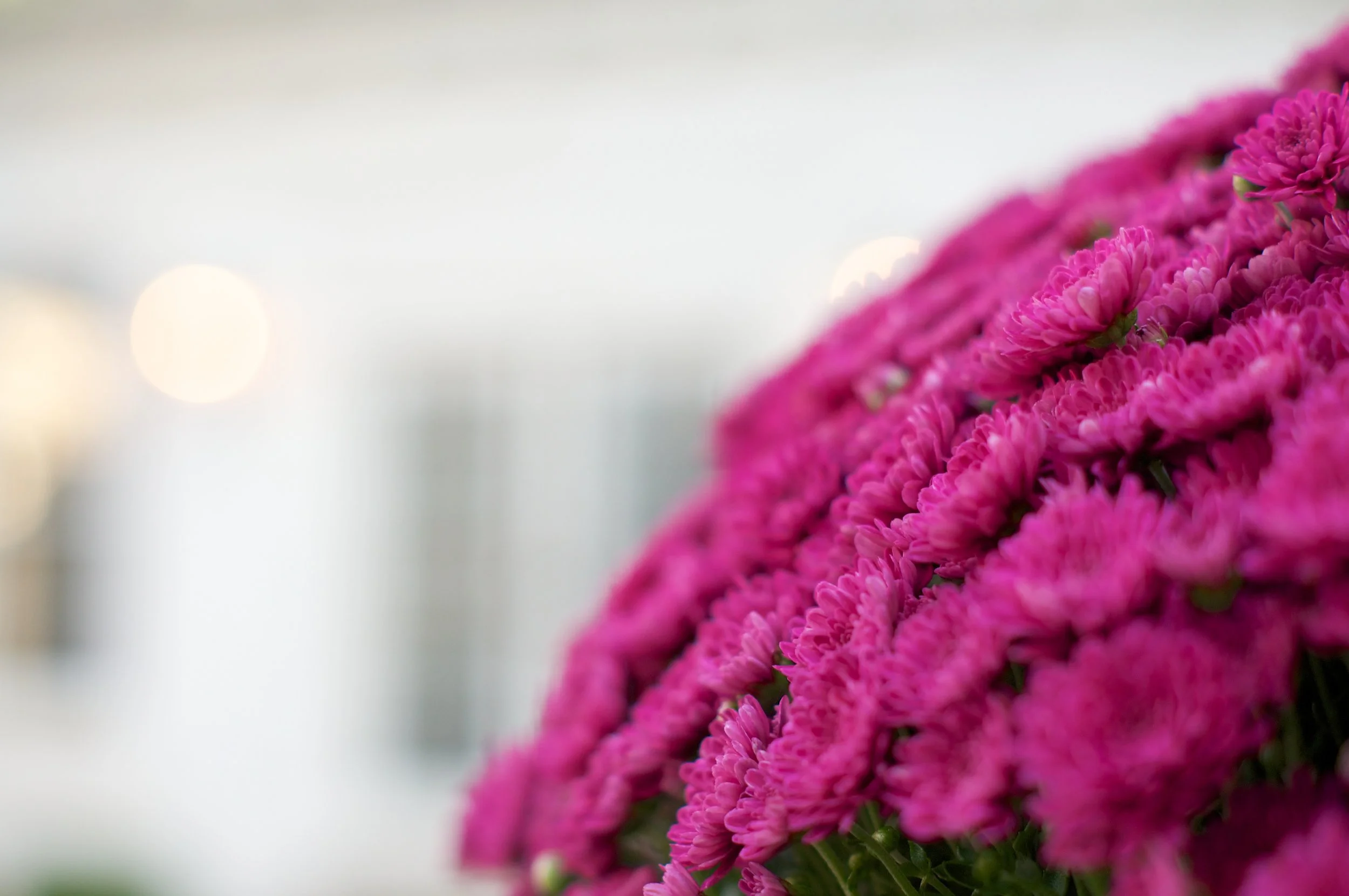 Women on Mission Monthly Luncheon