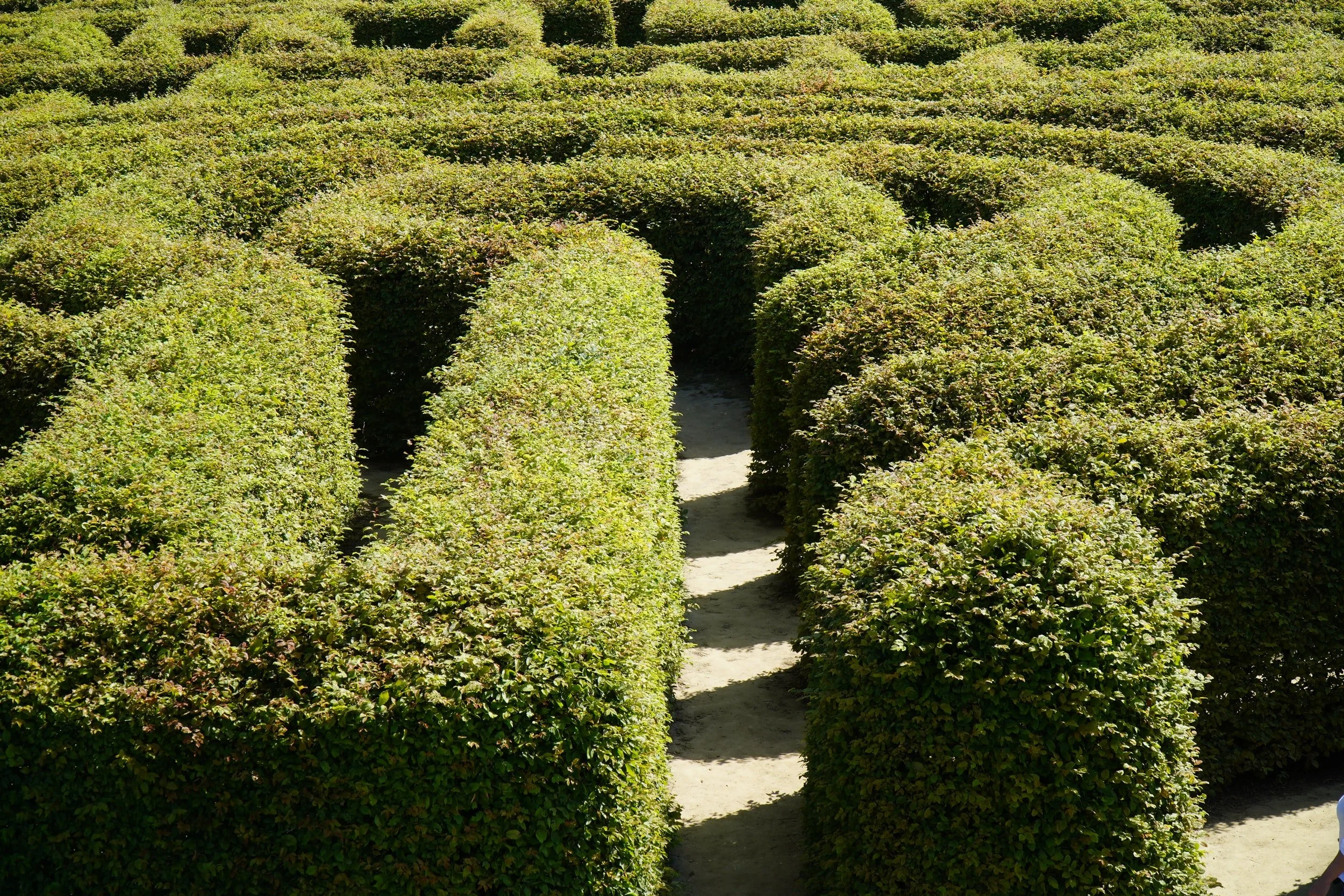 Prayer Labyrinth