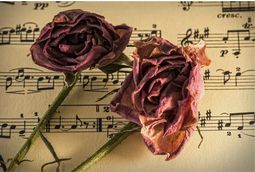 Arts Academy Winter Recital &amp; Gallery