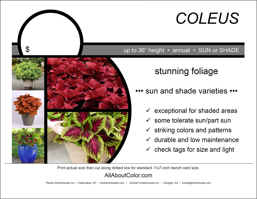 COLEUS COLLECTION Bench card | PDF
