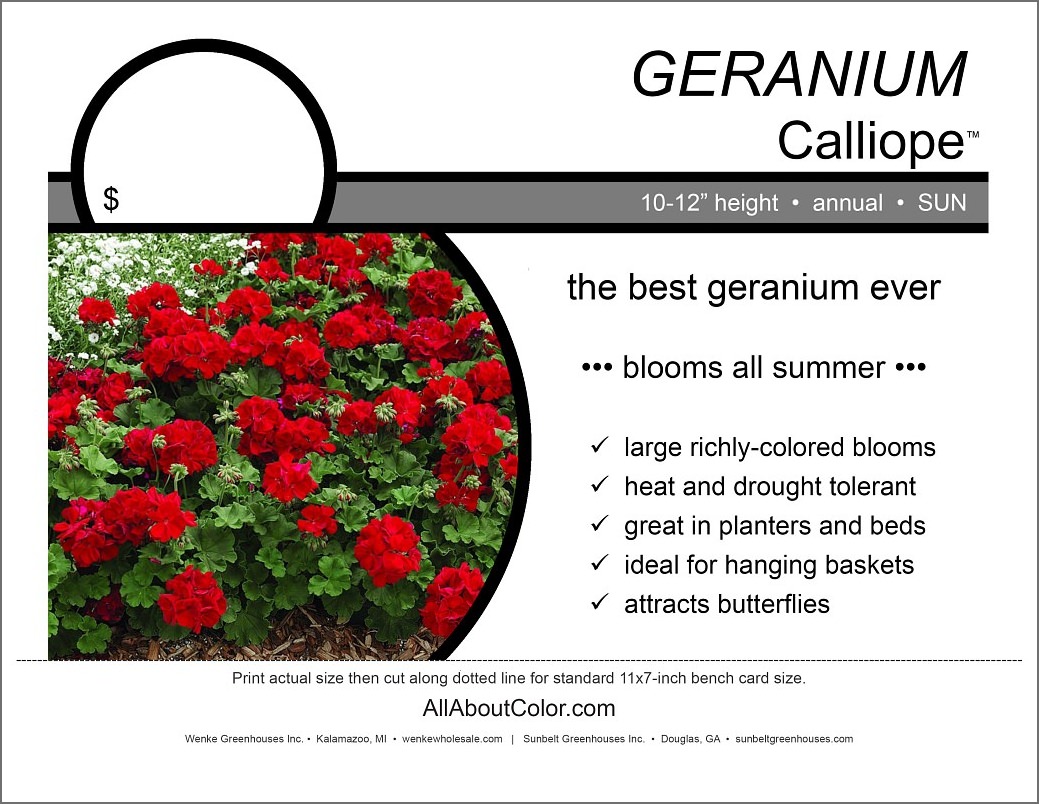 Geranium Calliope Bench Card | PDF