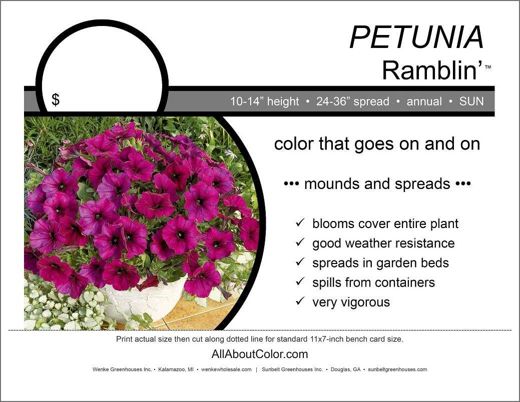 Petunia Ramblin' Bench Card | PDF