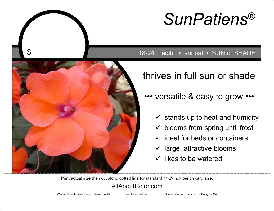 SUNPATIENS BENCH CARD | PDF