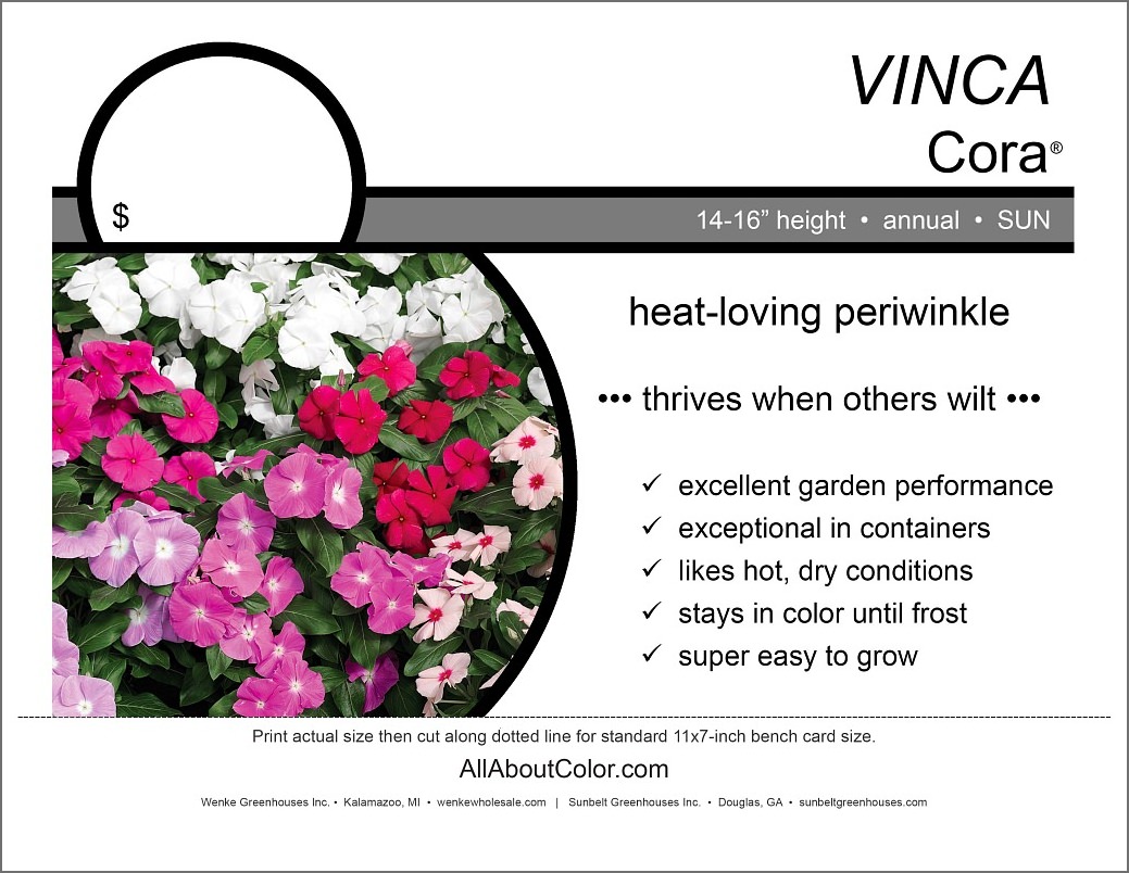 vinca cora bench card | pdf