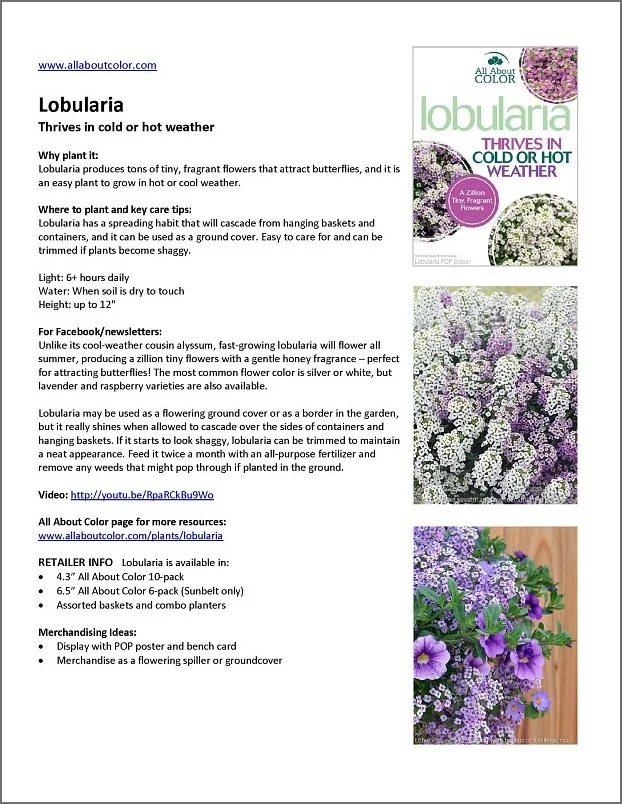 What Is The Most Common Flower Color Best Flower Site