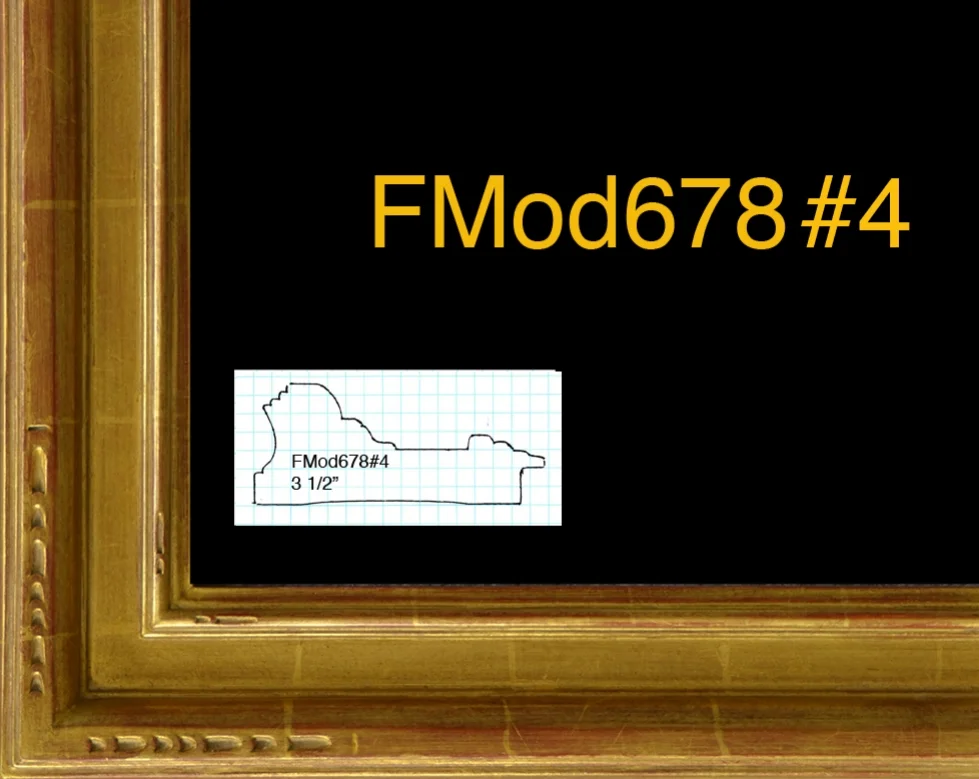 FMod678#4.jpg