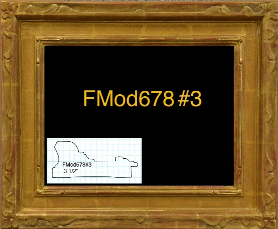 FMod678#3.jpg