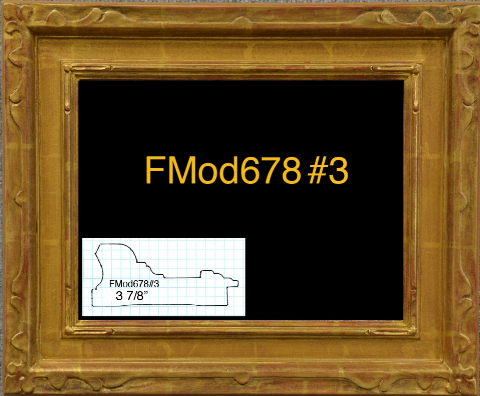 FMod678#3.jpg