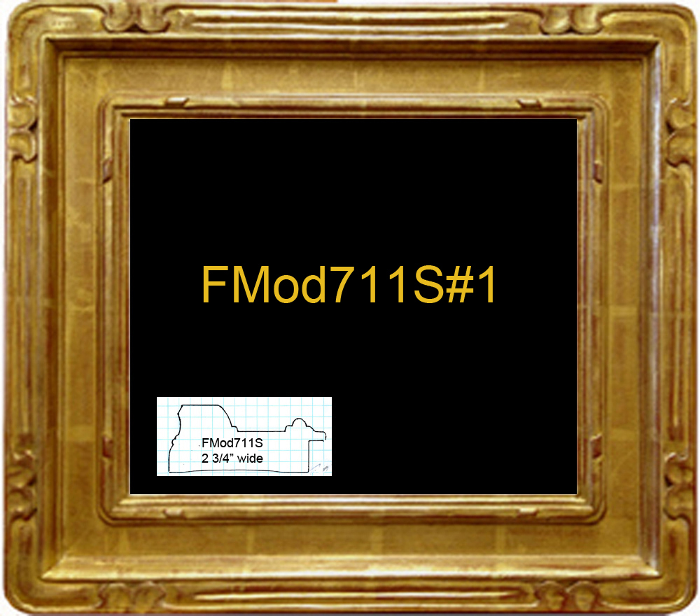 FMod711s#1 copy.jpg