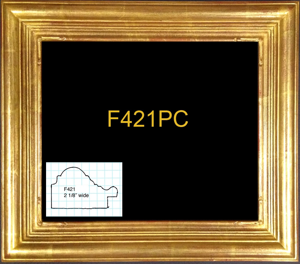 F421PC copy copy.jpg