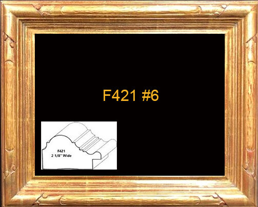 F-421 6