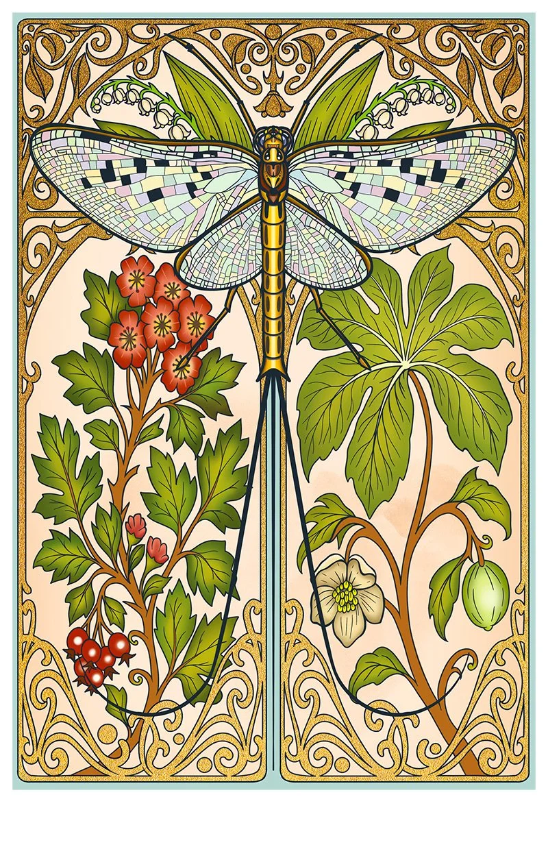 Mayfly_Mayhem_Final (1).jpg