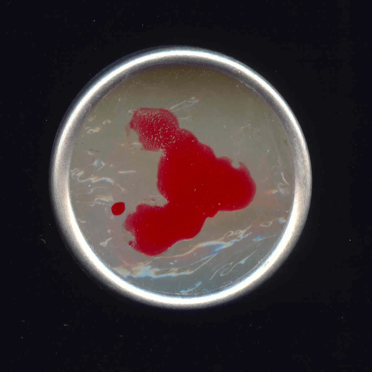 3425003833_06123b37d4_o.jpg