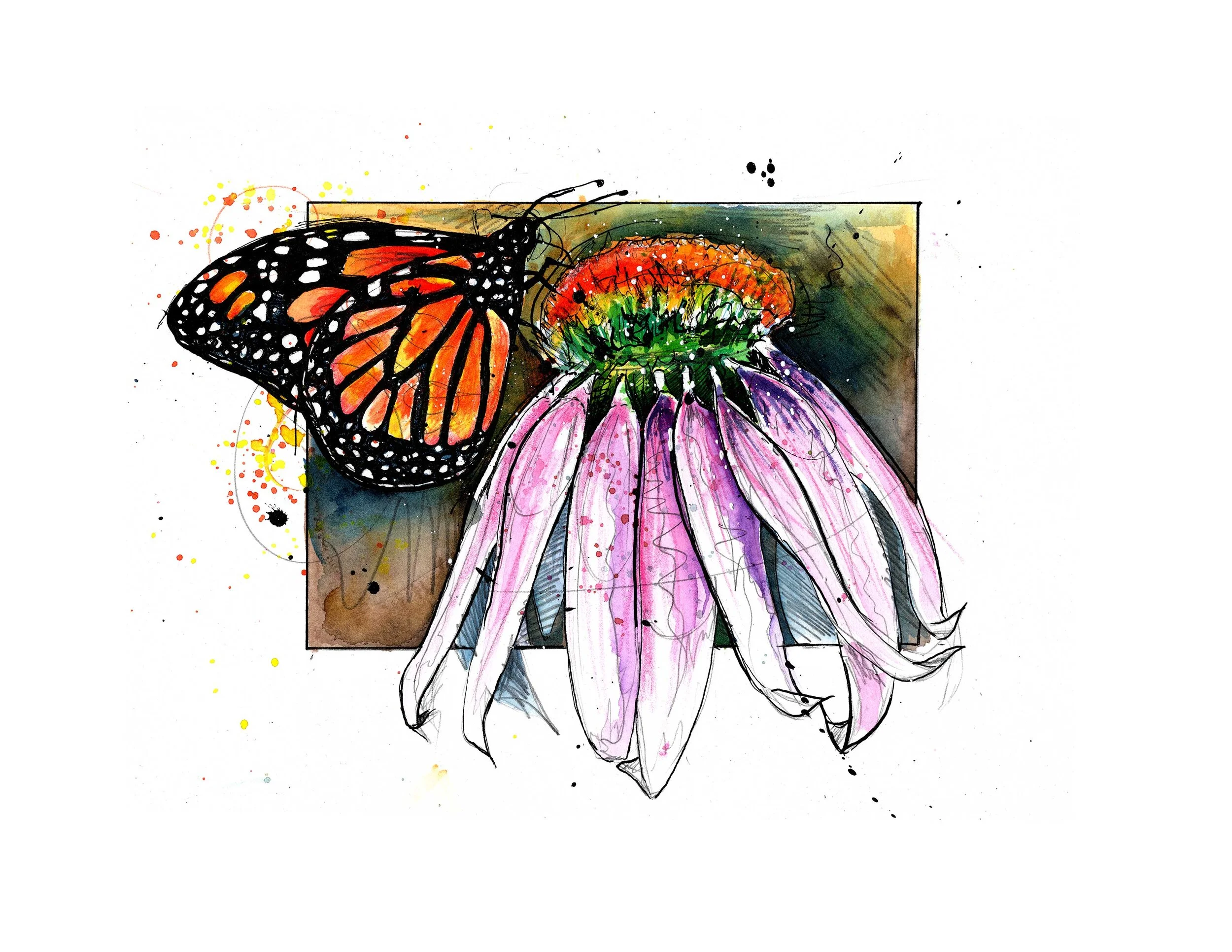 monarch-but-and-flower.jpg