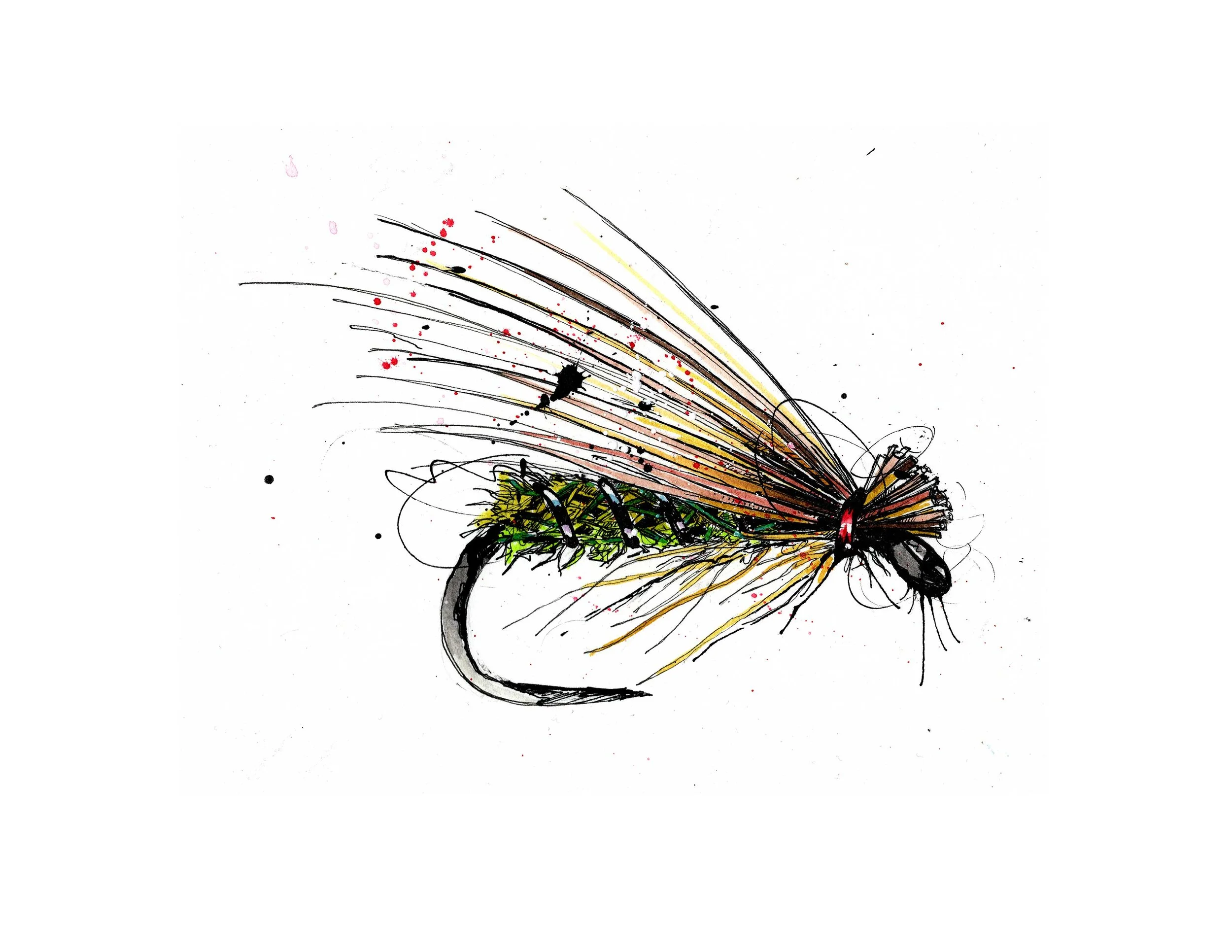 caddis-dry.jpg