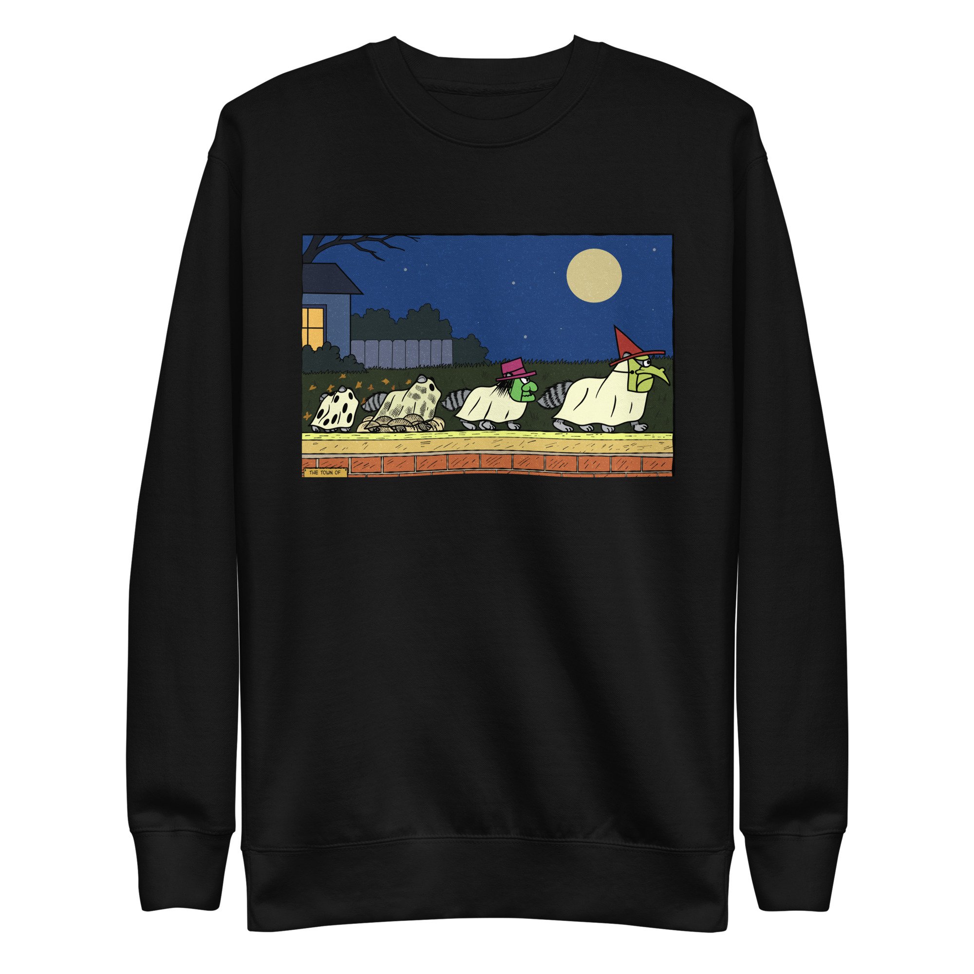 unisex-premium-sweatshirt-black-front-6aa9c331e18b2.jpg