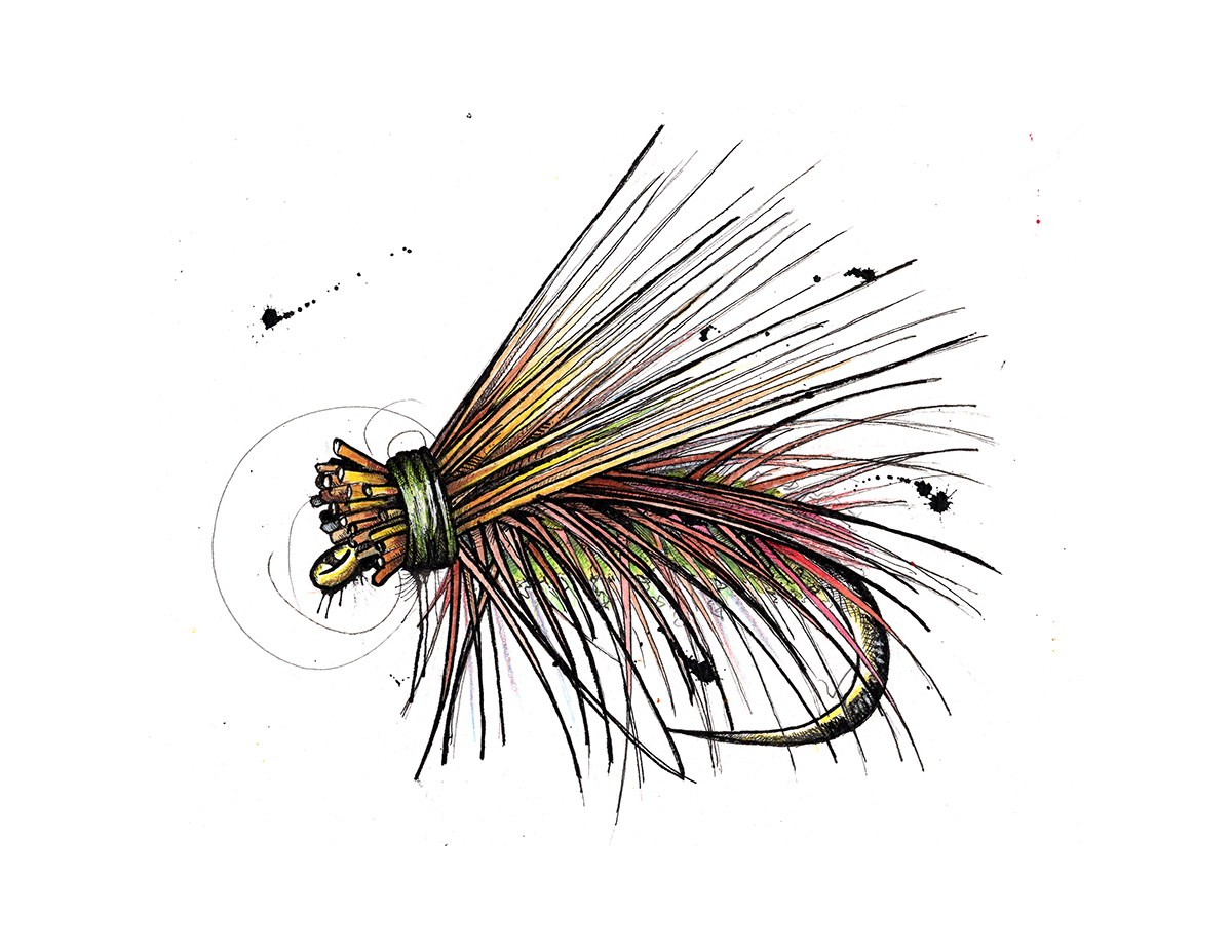 wv caddis300.png