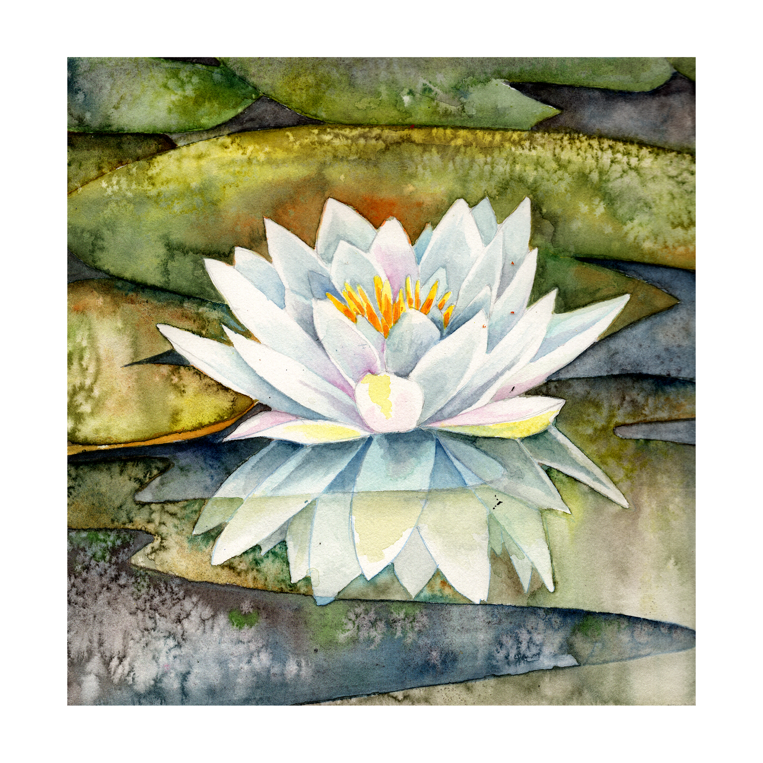 lily pad and lotus.png