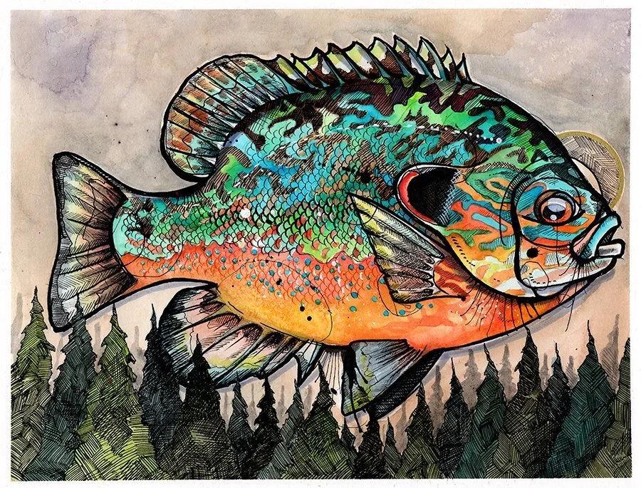 pumpkinseed262.jpg