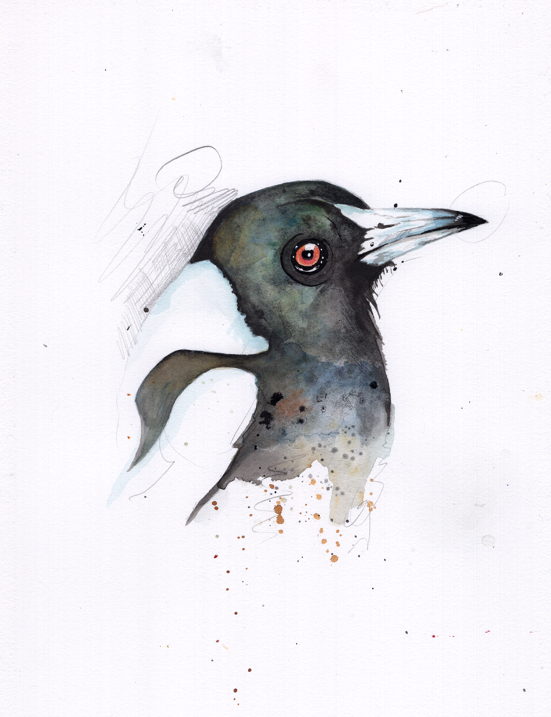 magpie289.png