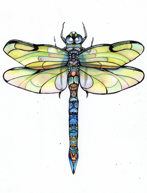 dragonfly271.png
