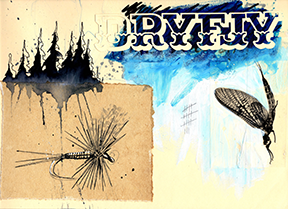 dryfly sketchbook.png