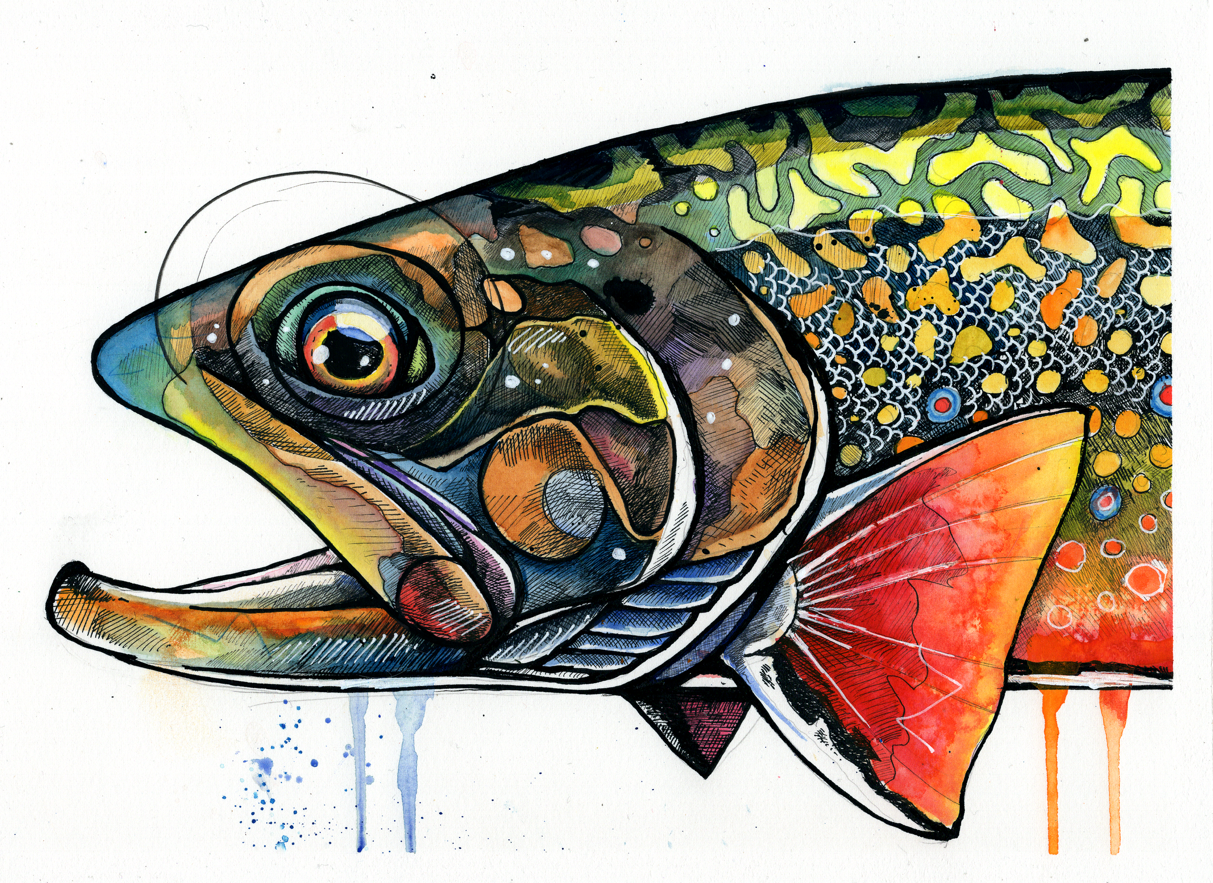 brook trout type 2271.png