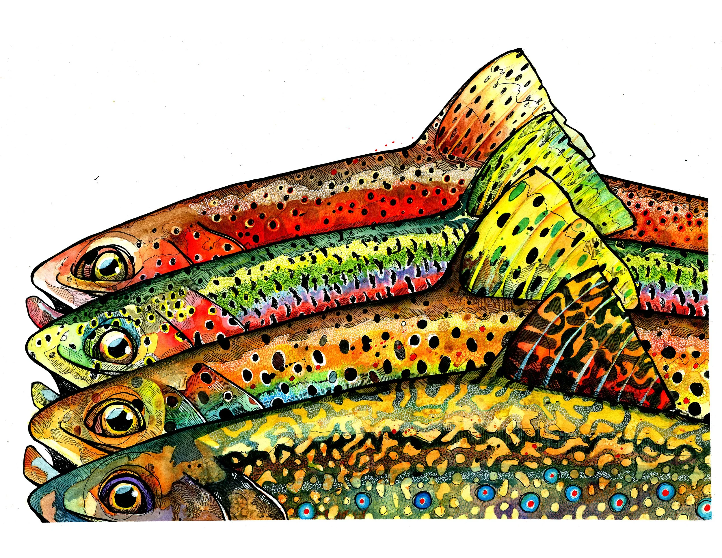 Bunch of Trout 85x11.jpg