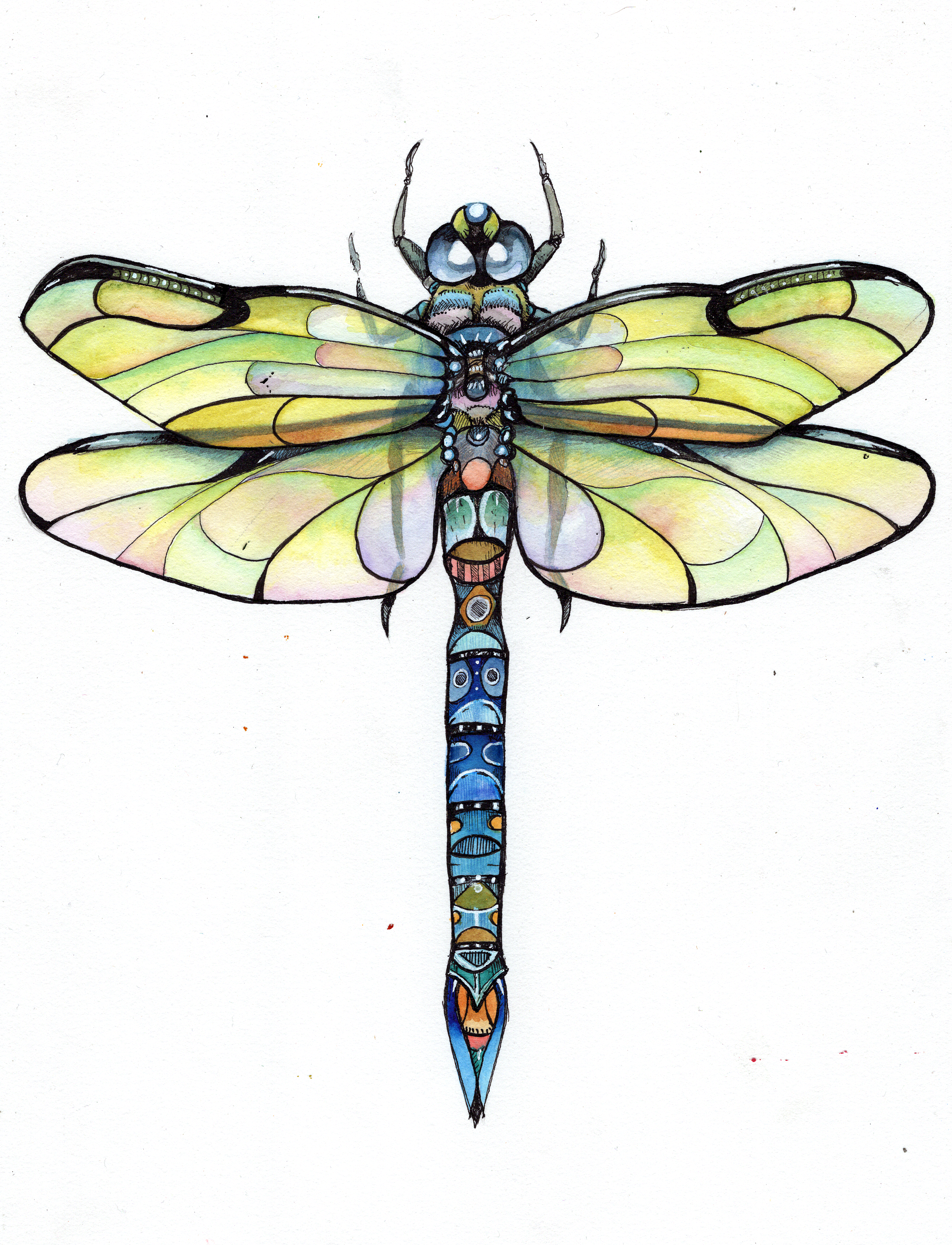dragonfly271.png