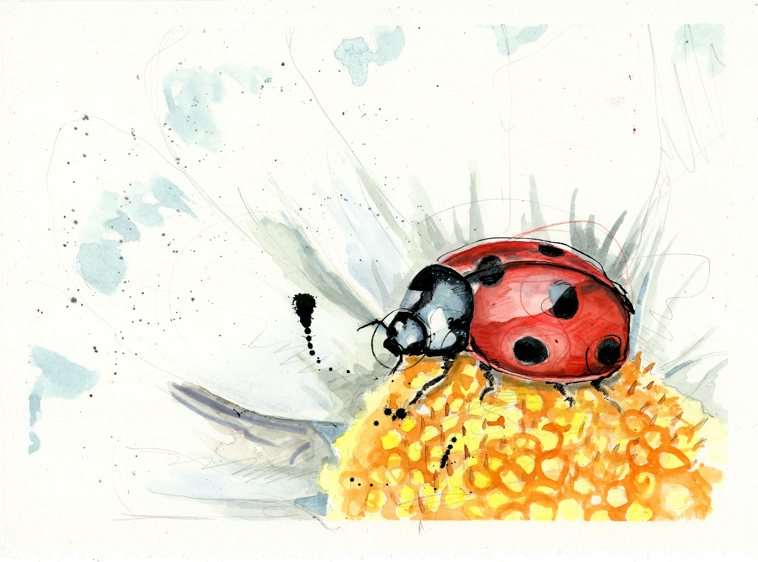 lady bug243.png