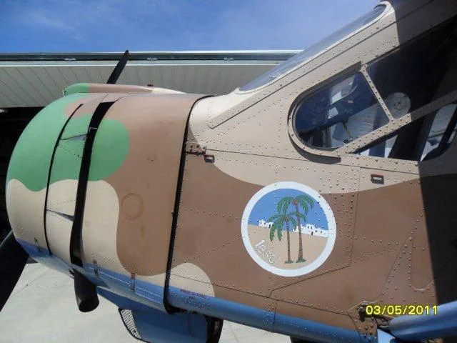 SAM_0554.jpg