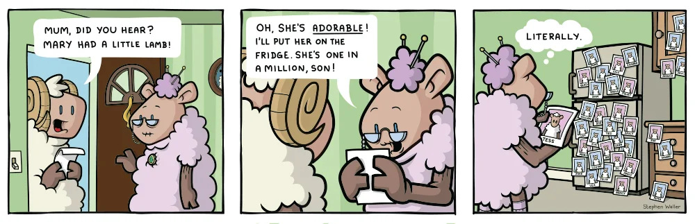 cb_05.jpg